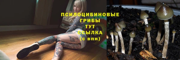 МДПВ Алзамай