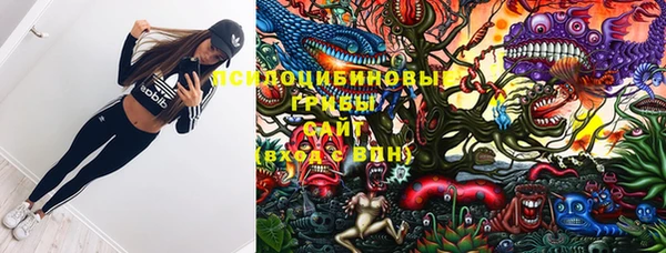 МДПВ Алзамай