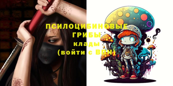 прущие грибы Арсеньев